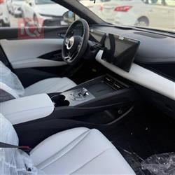 بي واي دي سيل 06 DM-i